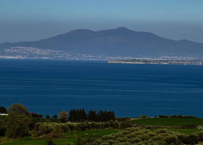 Sea View Olive House Appartement Modon